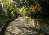 Trekking in città