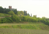 Vignes entre murs et tourelles: le bourg de Soave