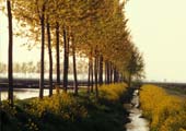 fuori_03_c